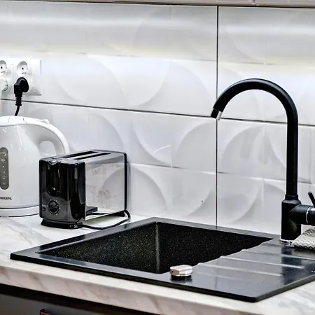 Drewniany Luxury Dabrowa Tatil Evi *