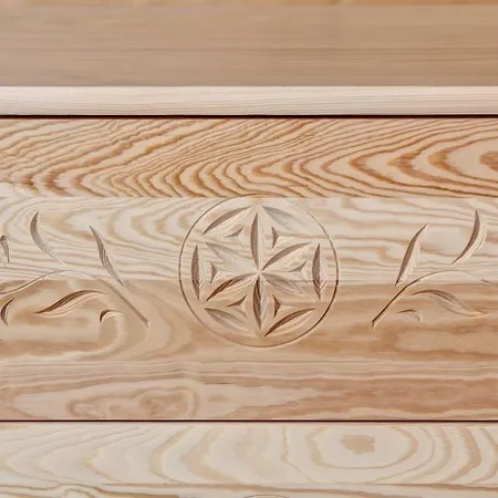 Drewniany Luxury Dabrowa Tatil Evi *